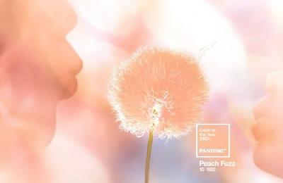   2024  PANTONE Peach Fuzz
